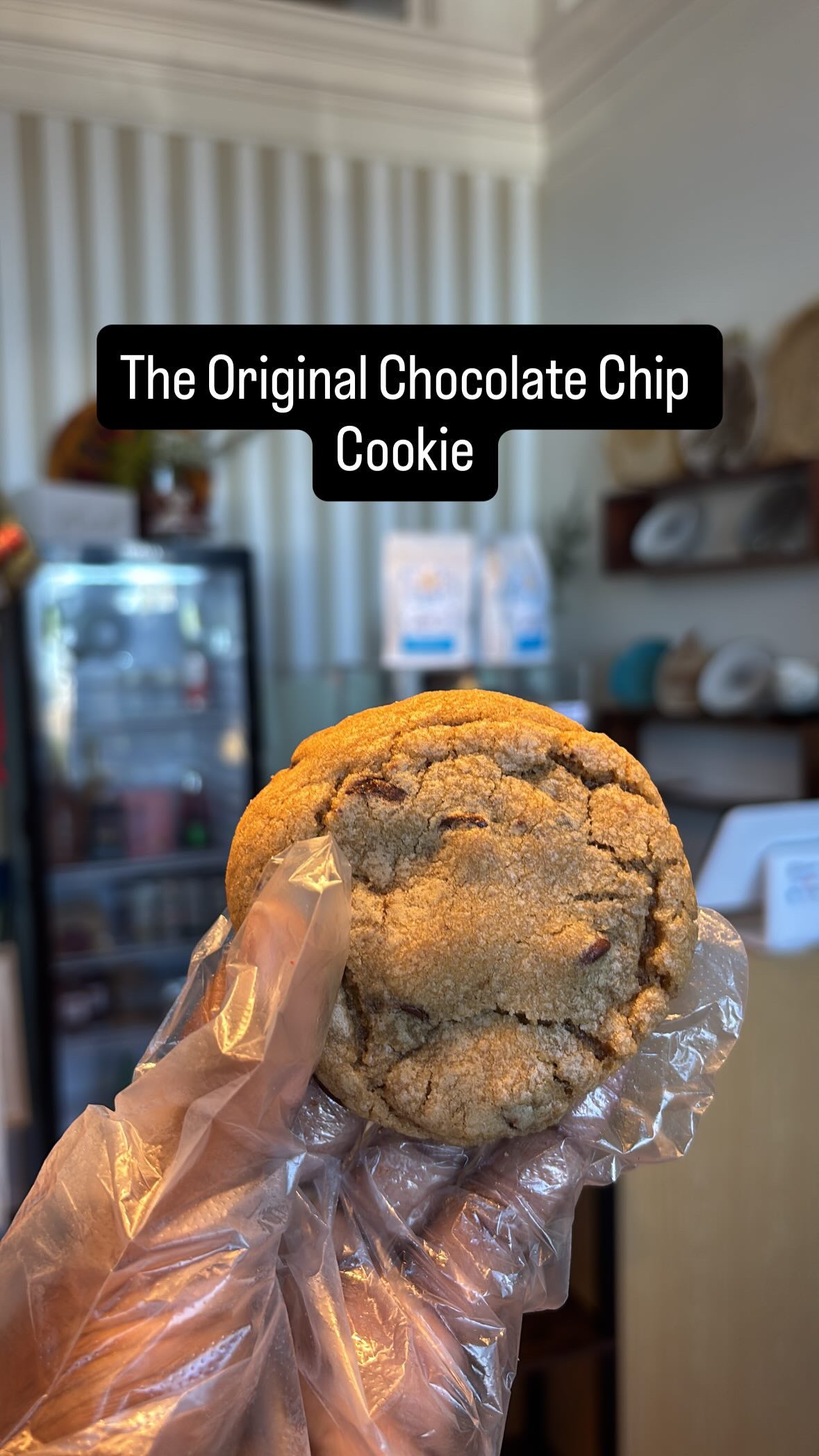 Chocolate Chip Cookie
