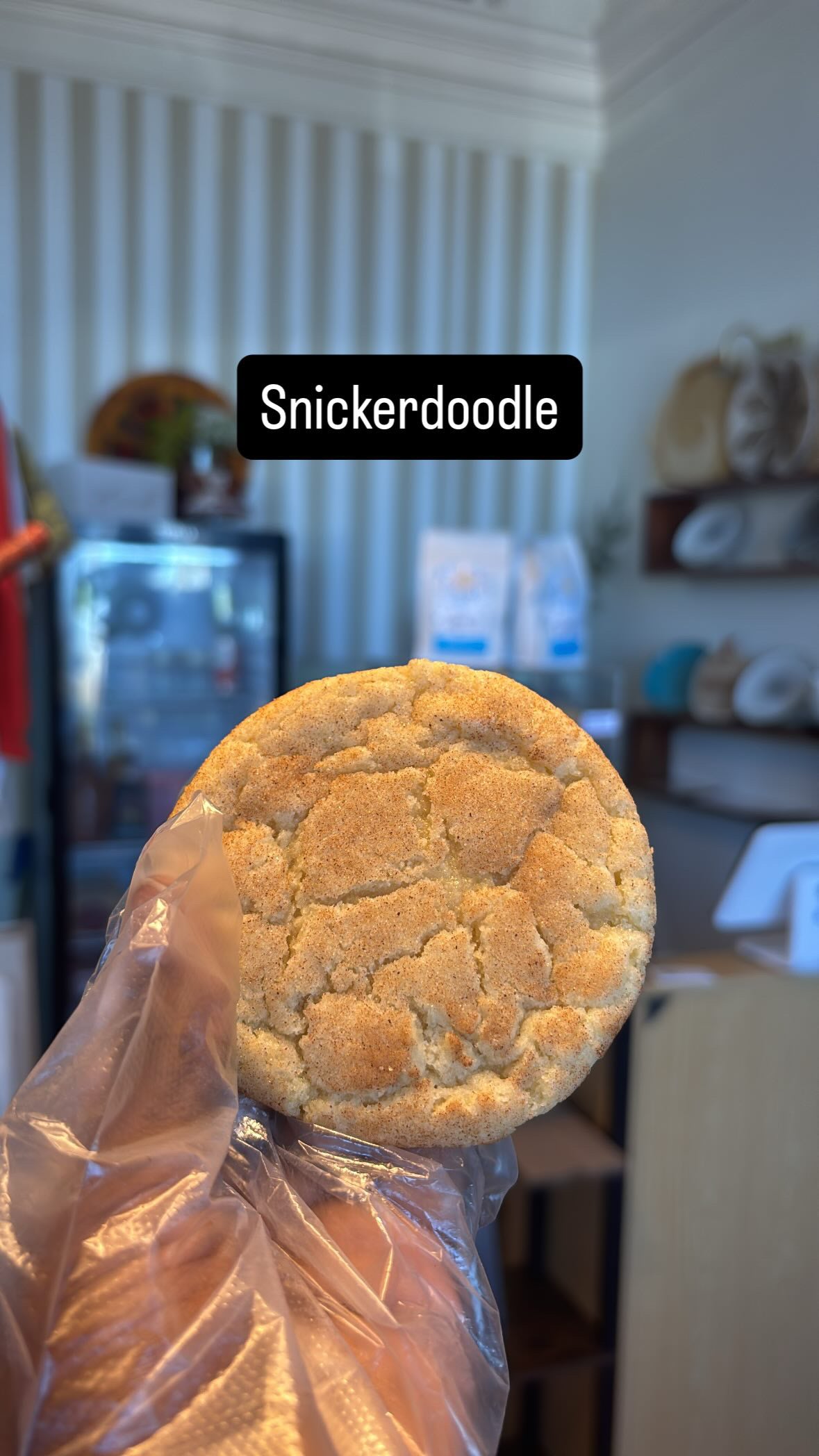 Snickerdoodle Cookie